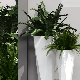 Epoxia diamond plants